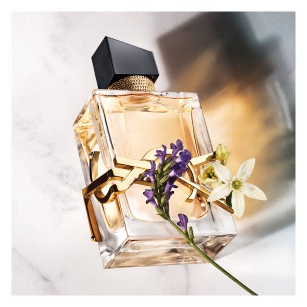 Jabel Profumeria yves saint laurent eau de parfum