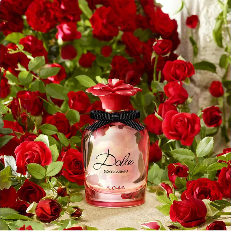 Jabel Profumeria Dolce & Gabbana Dolce Rose