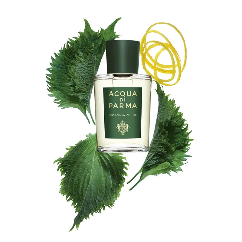 Jabel Profumeria Acqua di Parma Colonia Club