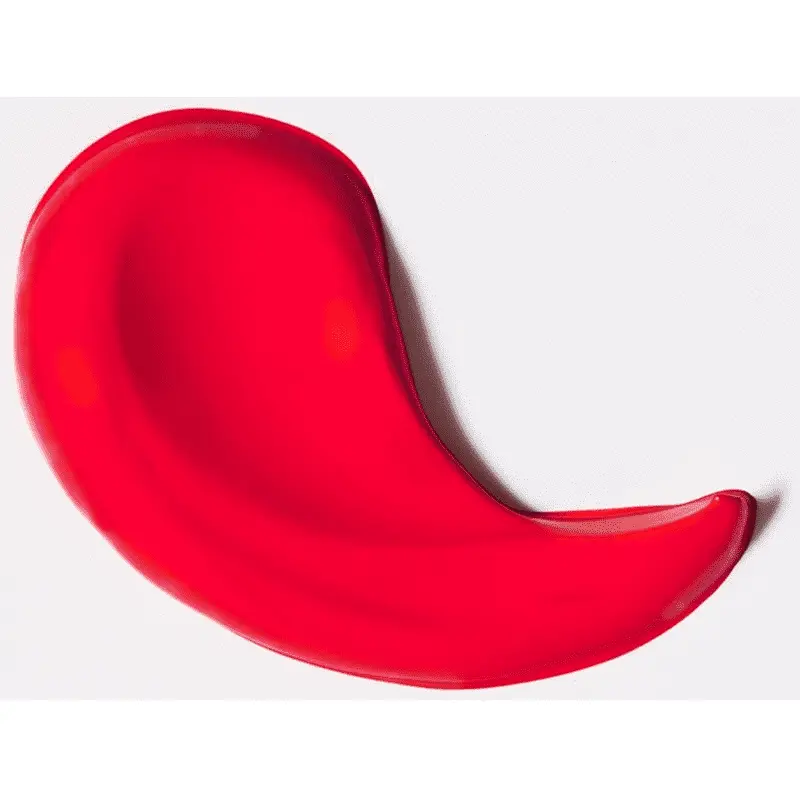 Jabel Profumeria L'Oreal Paris - Les Macarons