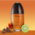 Calvin Klein Obsession Eau De Parfum 100 ml - immagine 2